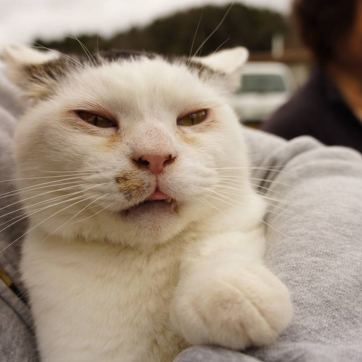 36e2603b d941 453a b862 d1edff46863d