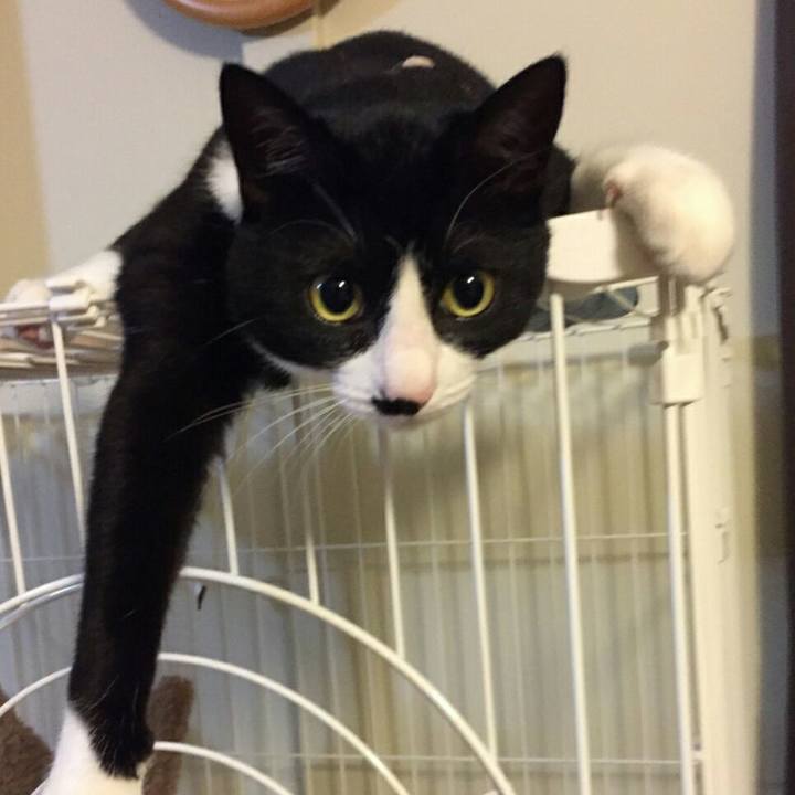 36e2ce09 36f0 47d9 9e13 da6728579507