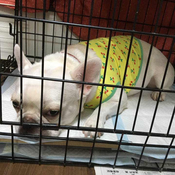 36e362a6 91c0 4bec 9247 9c9febd8711a