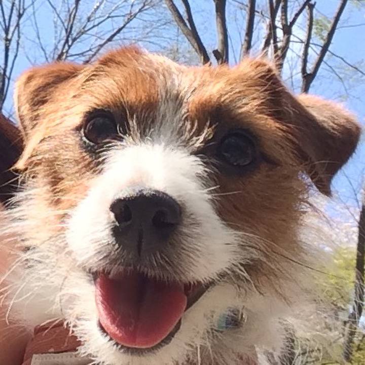 36e38a29 56b7 4ef3 bb65 e63ef15bf38b