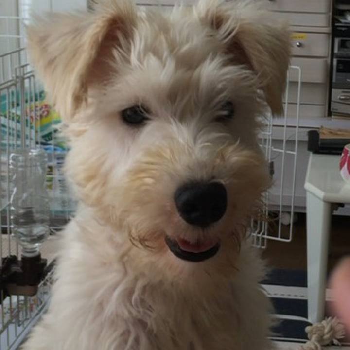 36e3a21b bf5b 41e3 9deb 5cfcde4a7fa3