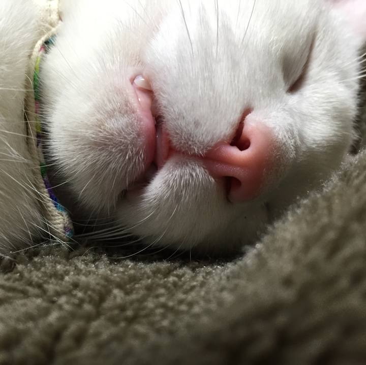 36e3e4a0 6c98 4f62 8450 cceb1f11fe8c