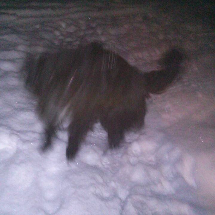 36e4e8e2 abd1 43e9 aa97 e2ce6ab93c5a