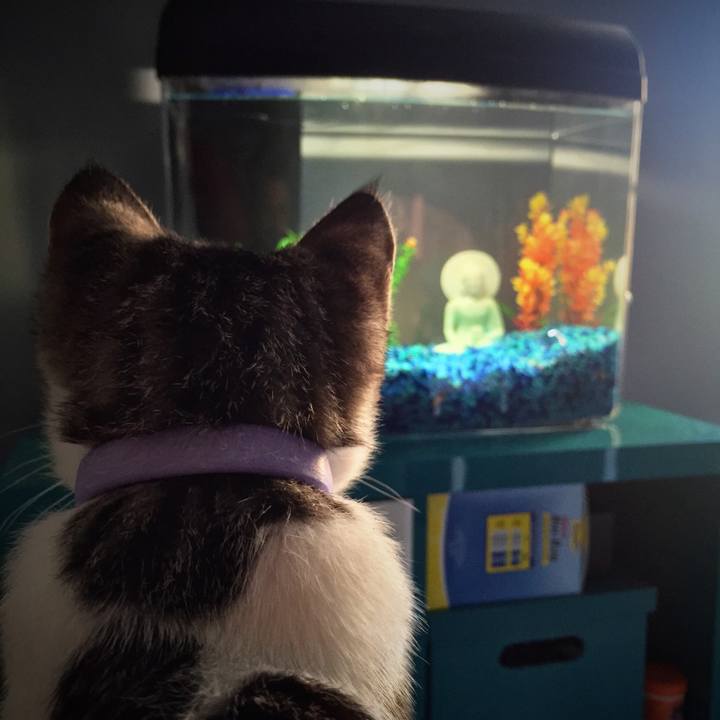 36e5492a f818 4d7d 978a 3b2b42946238