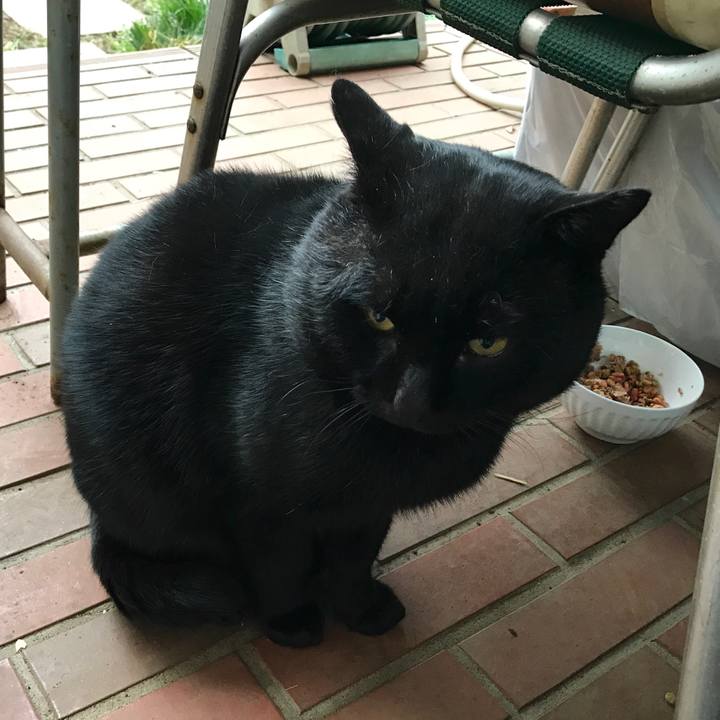 36e6668a 256d 42ab 9359 19793cda3f20