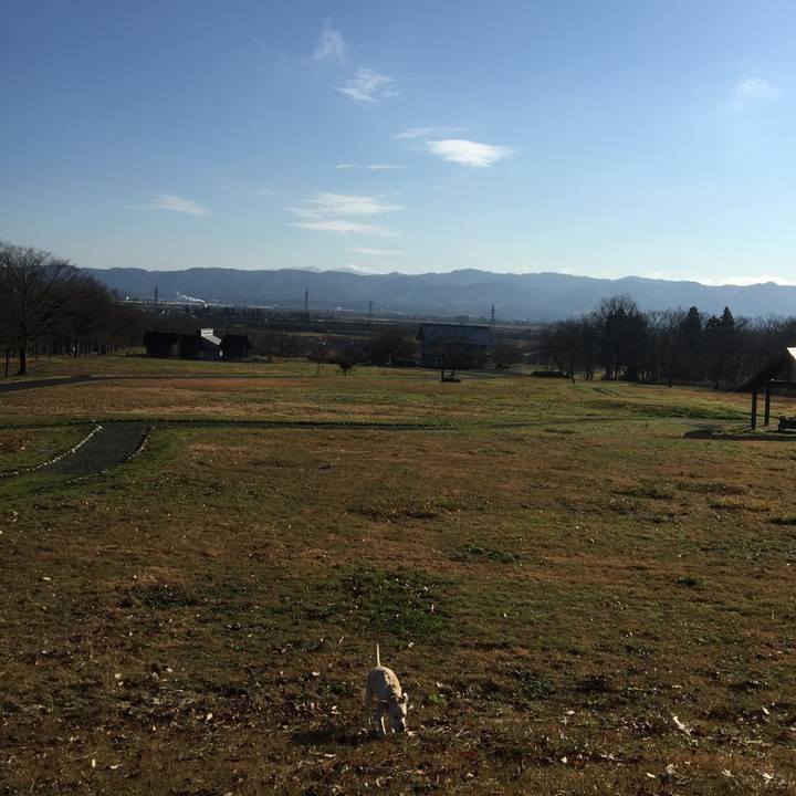 36e6cfa6 00e4 4691 ae2f d5da691e0d2a