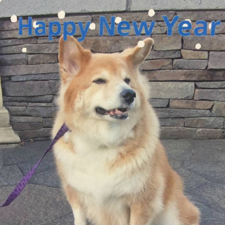 36e6fdcb 417a 4394 baed 22330f679288