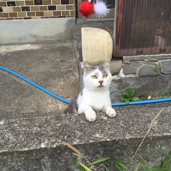 36e7733c 8a2e 4a6c bdde ba1eb933af3d