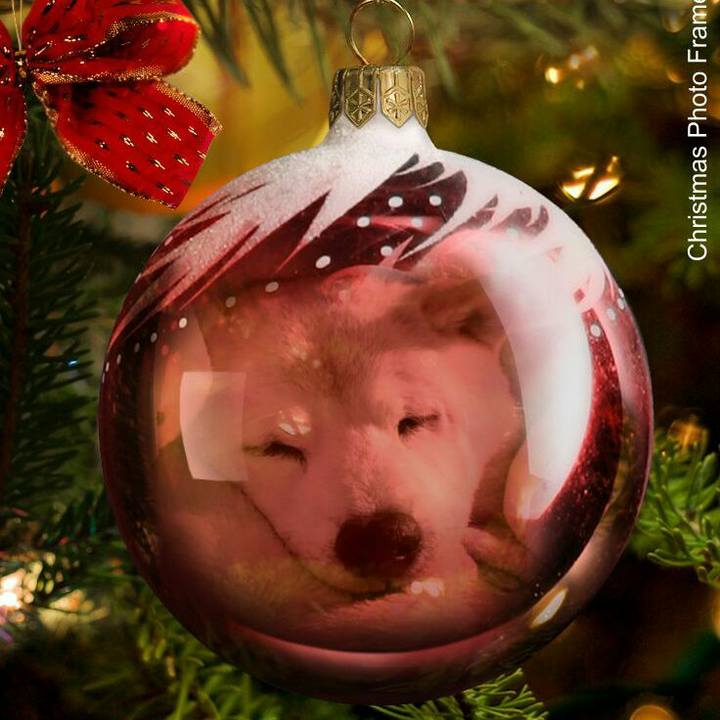 36e796ff 7644 4d3c 81c2 545d0e57dad1