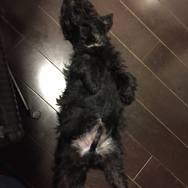 36e79c56 f567 4942 a75c 1b242d6b05e8