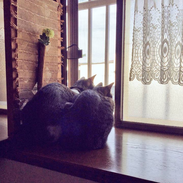 36e86930 61d9 41fe b8dd 322b7f2742dc