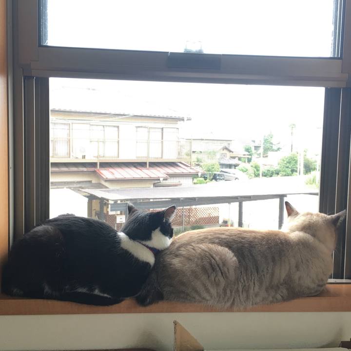 36e8ec64 c07e 441f b55c d4fe7c2f11f6