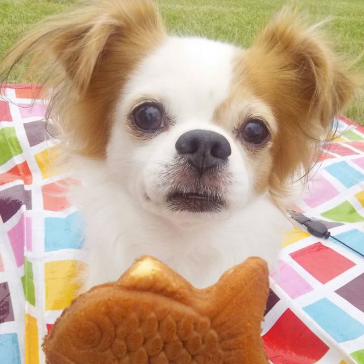 36e99860 8a0b 41af 89d0 439e02526715