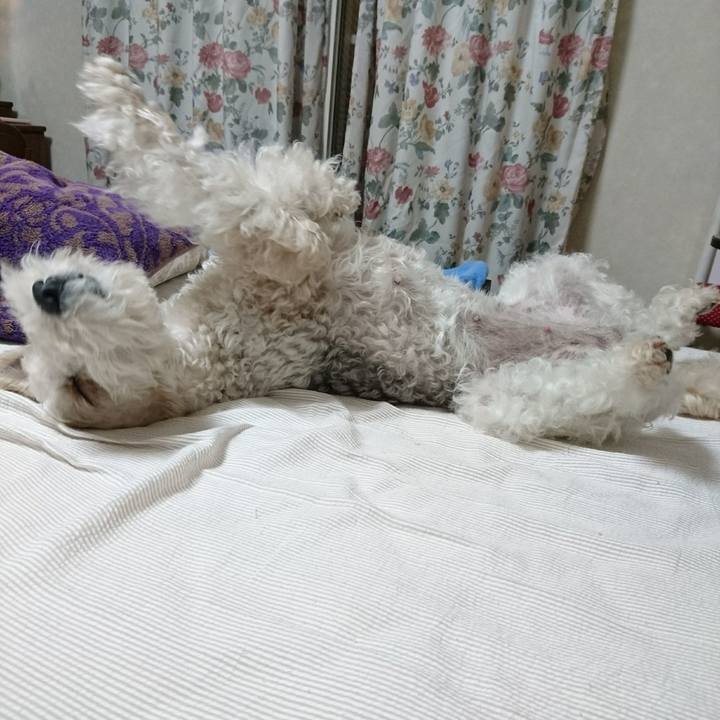 36ea4d62 bb80 4d54 8083 3ffb349b7ea3