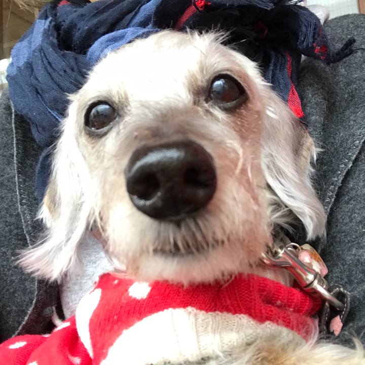 36ea6550 d022 48bf b668 fdbb4678d6bd