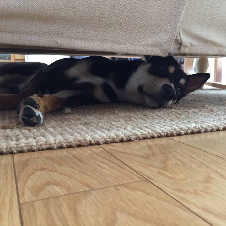 36eb23be 8e59 409c 98ad bcb5039adb80