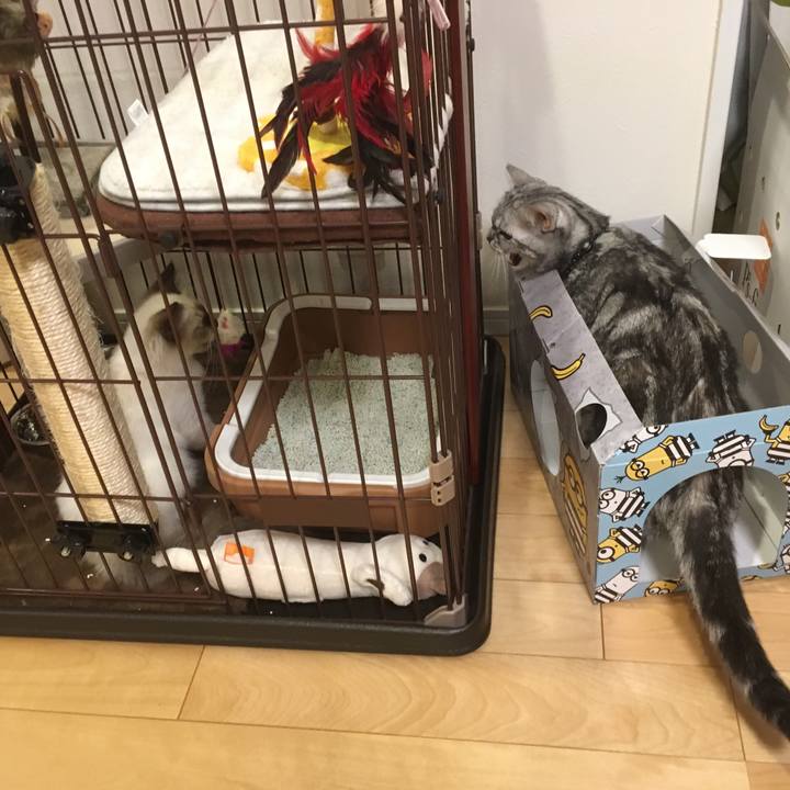 36eb67da 063a 4081 bf36 5cb01b1644bd