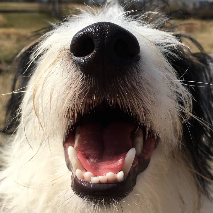 36ebbd81 0af9 40cc 8351 713e6a225528