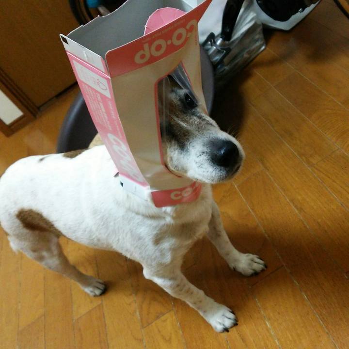 36ec3ed7 b666 45e4 ae2c 9504ddf4337f