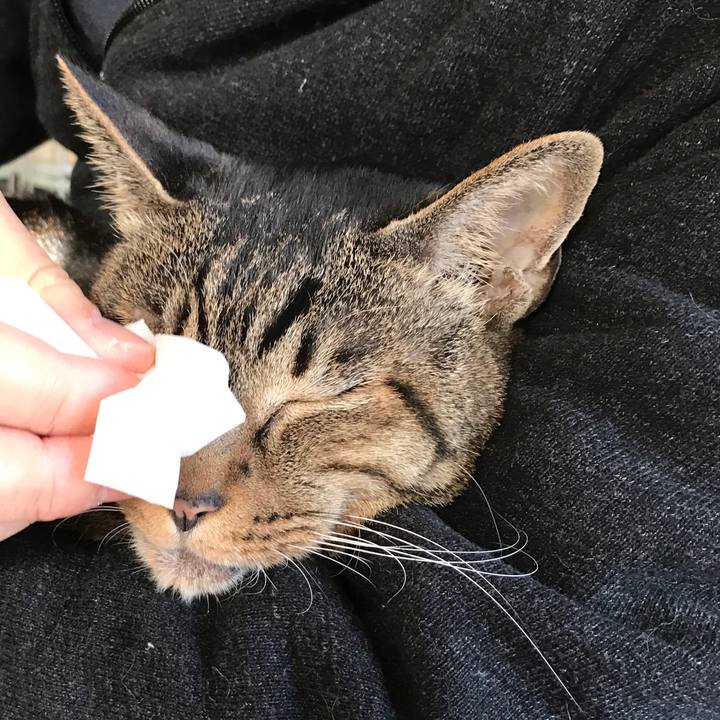 36ec6a68 9165 4055 8ad6 3505c92b2305