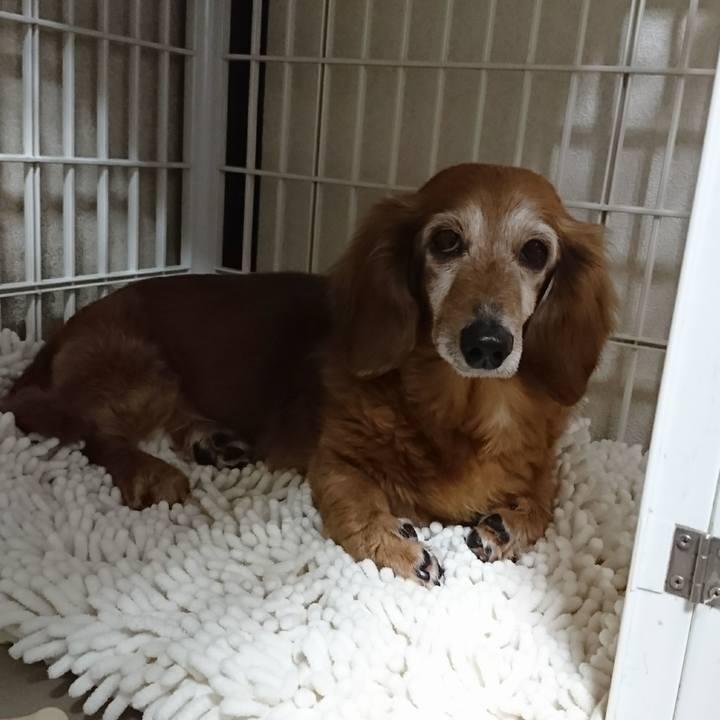 36eca797 7f20 4465 9e0b 0a26c6fbe948