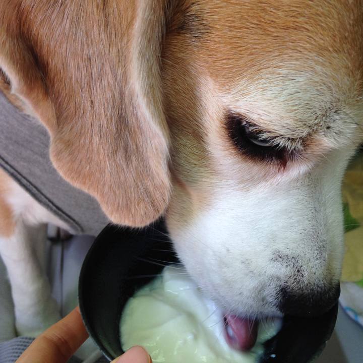 36ecaa92 7d7f 463f 8018 ab79d5d2f9ce