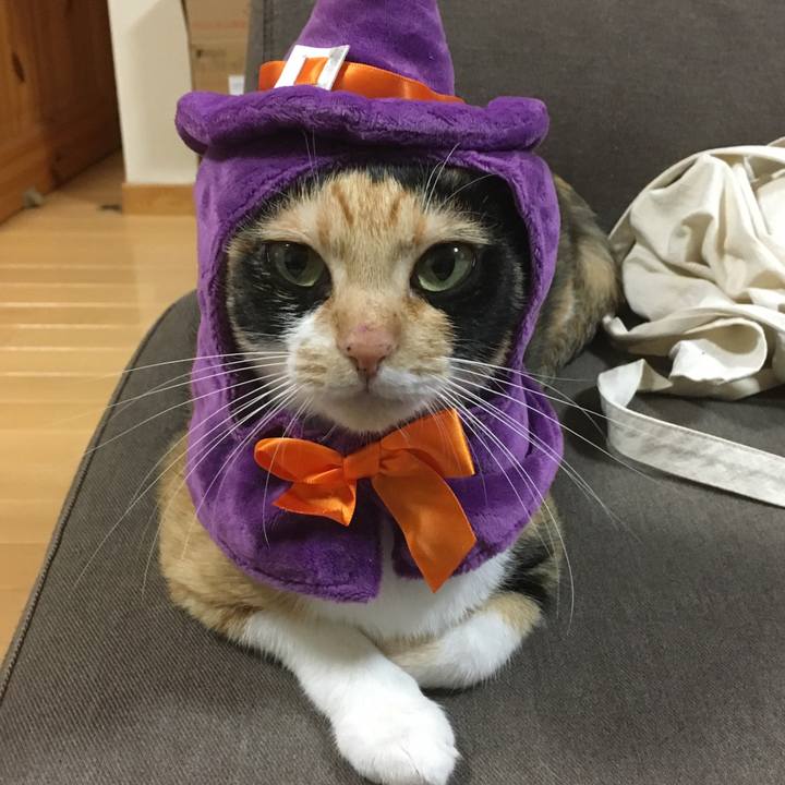 36ecba9d 12f5 4d4c a120 256765559fd6