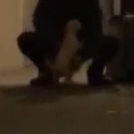 36ecda45 18f3 4b70 92d5 3d903fdd7527