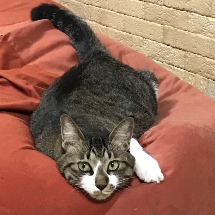 36ed3784 05ef 44b4 8fcf 3c76cc3cda6c