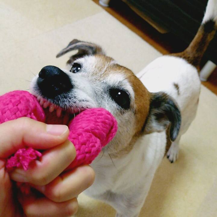 36ed414d ae33 4cd7 9429 e000200cbb95