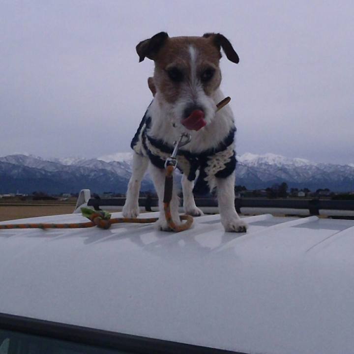 36ed6e47 17e2 4773 81f0 563ccb2d4208