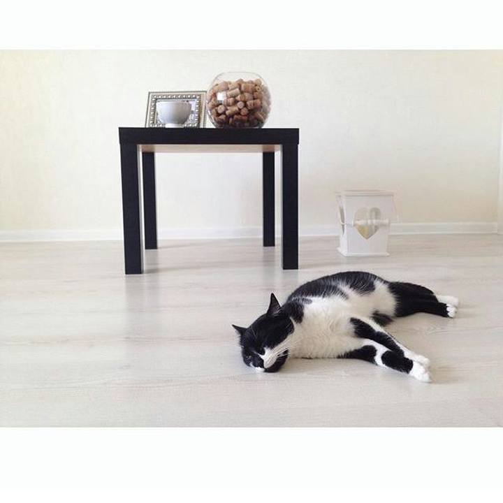 36eda9e0 cfd0 4422 9b31 ceeb4a5215b7