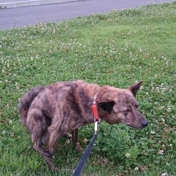 36edf702 0cc5 4c3d 8e76 294fae26aa00