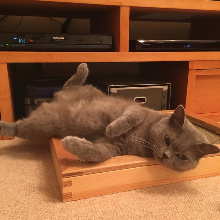 36ee48bd 34ef 4385 a30d ed43e32b800d