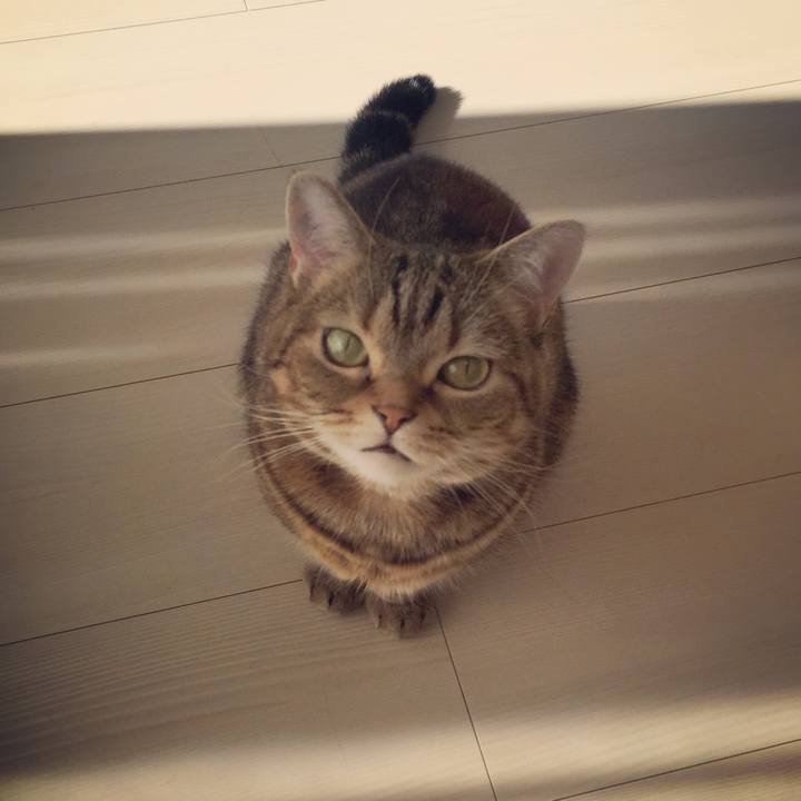 36eee1de 860c 4ae5 a565 0e0643d9b6c0