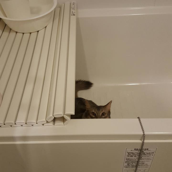 36ef64e4 d973 4a0e 87e5 79a6d07d68ca