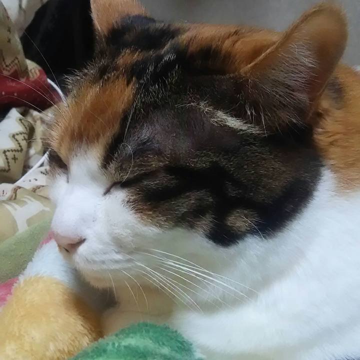 36ef9f88 5971 49d9 a0f7 6c4113869119