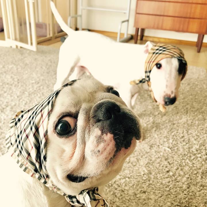 36f0093f 8bc4 4659 9361 60f577d6686b