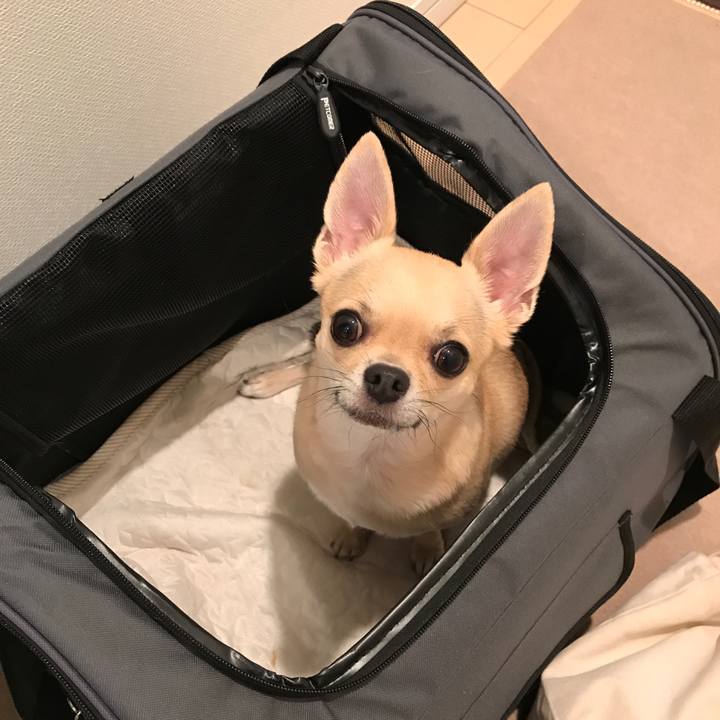 36f059ec 7dc2 43f3 91f7 b6ff08313658