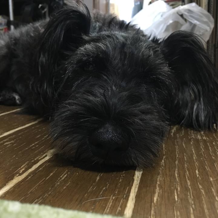 36f078e7 16af 48cb 83bd 2069cb0f6452