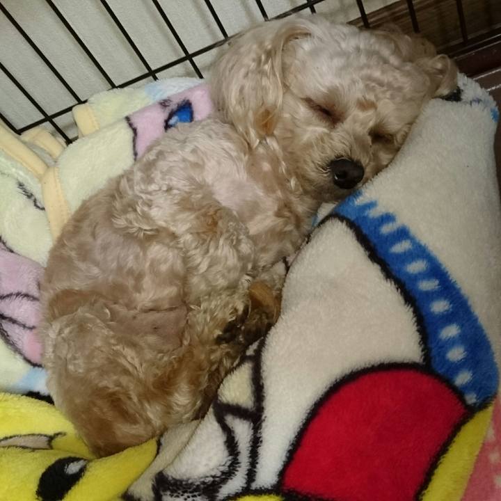 36f0c664 796f 46e6 93a1 a7a9332bce52