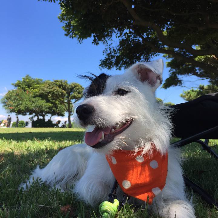 36f16be1 0431 463b 980a c28342e4f130