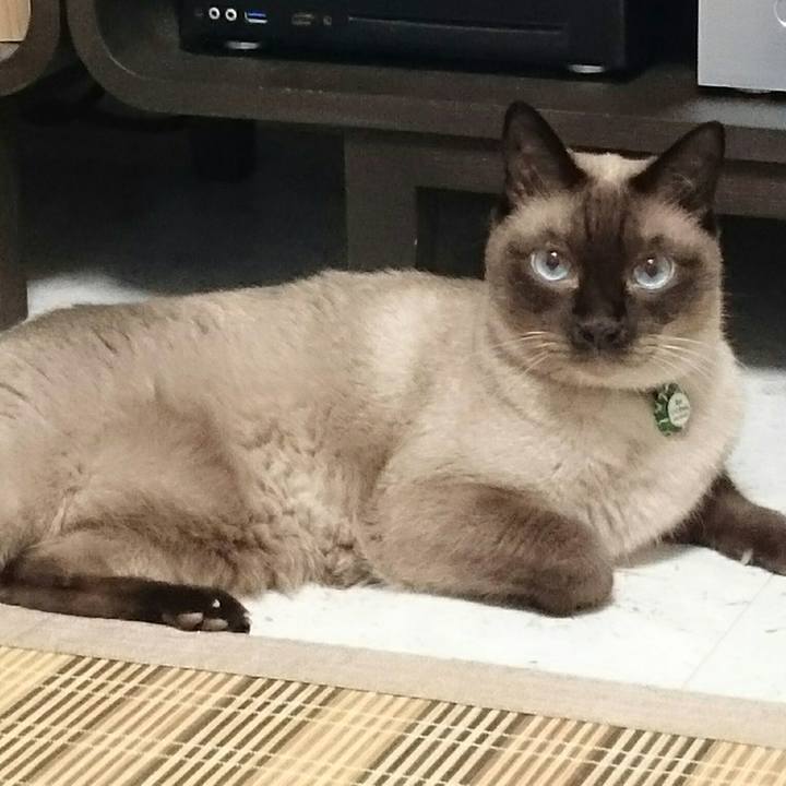 36f19ff6 8c13 4aea 9c8b a48b6fe1982c