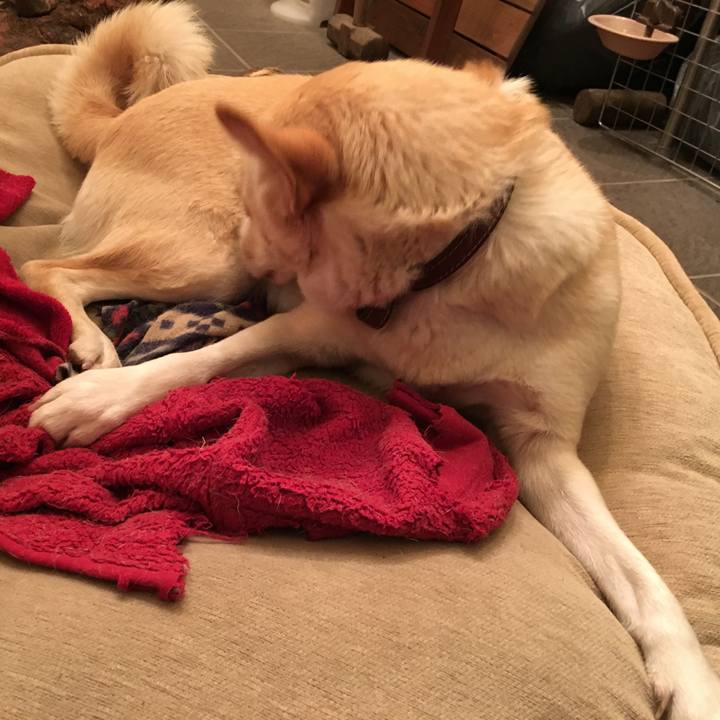 36f1dd69 8942 47df bf18 a0df216d9e32