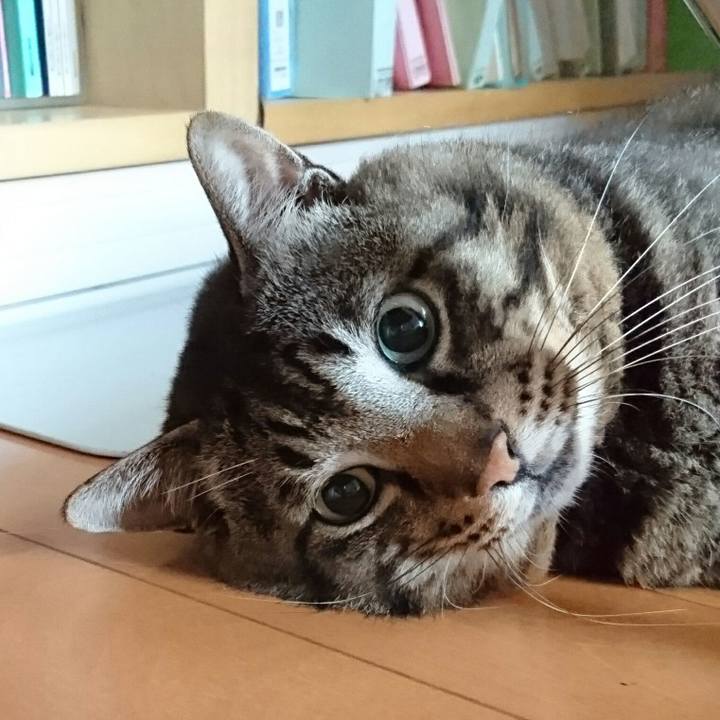 36f1ee93 f9b0 4a16 b9fc 0a865e48dd3f