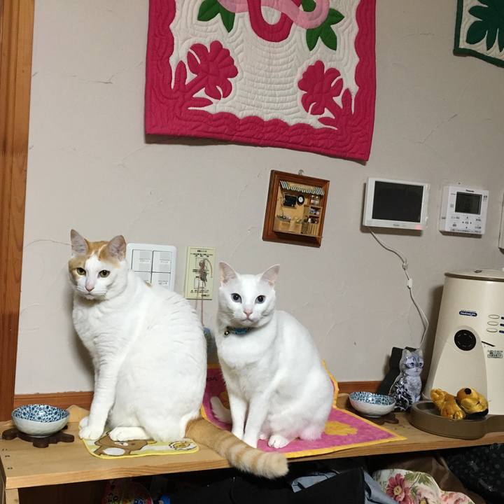 36f234dc fc7b 4fc8 bb5b 2bd6bf805c97