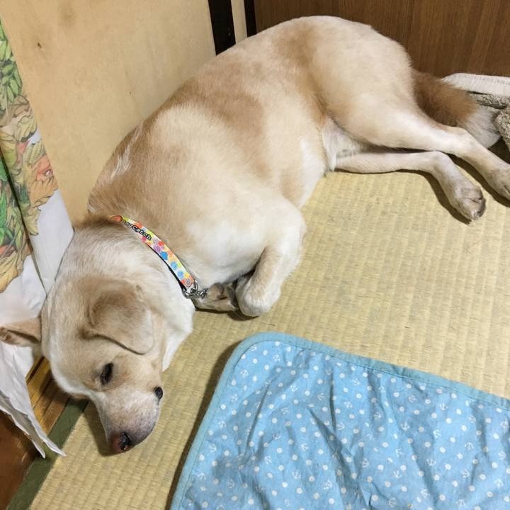 36f26d32 2173 42a4 9454 de8096803bab