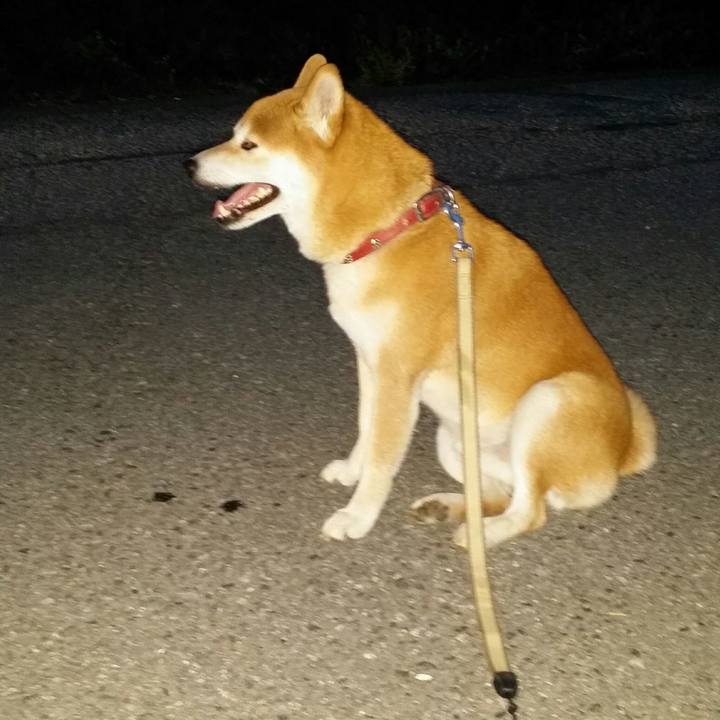 36f2a6df 5d72 4410 921a bc55ab5b3293