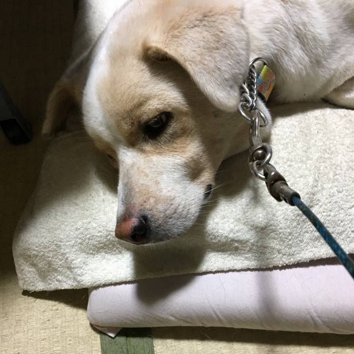 36f2b4e3 59f7 468b 90fc b95d085e5de5