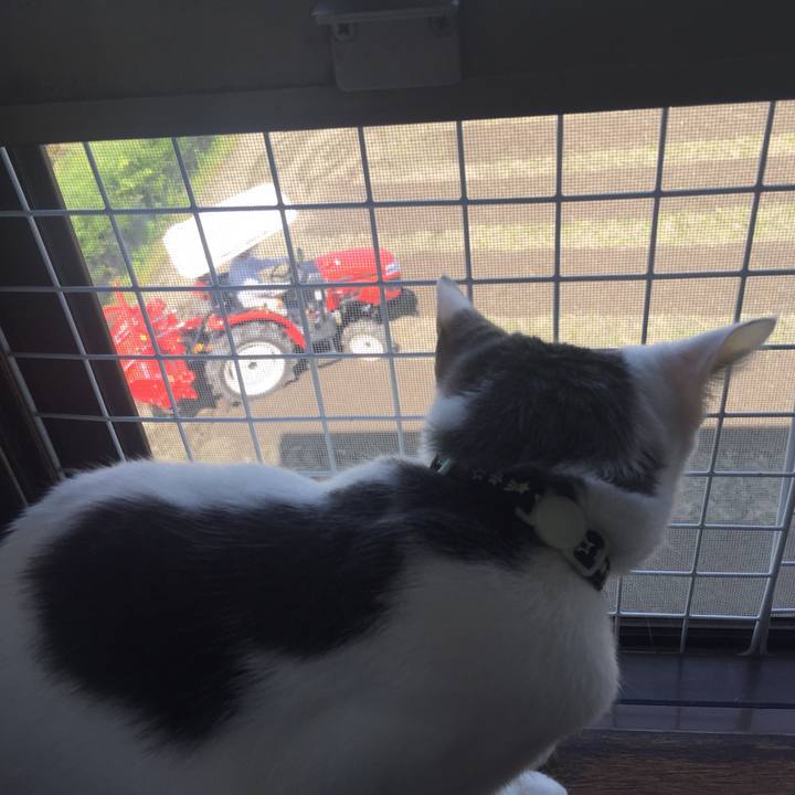 36f2d7a5 8416 4fa8 8751 efd3f540ba0b